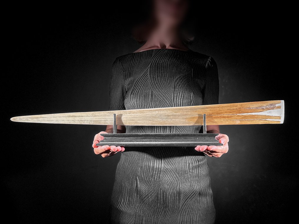 ΧΩΡΙΣ ΕΛΑΧΙΣΤΗ ΤΙΜΗ - Πατεντωμένο και λεπτοκαμωμένο κέρατο ξιφολόγου - Θάλασσαικος τυπος - Ρύγχος - Xiphias Gladius - 12 cm - 74 cm - 6 cm- Είδη που δεν ανήκουν στο CITES - (1) #4.3