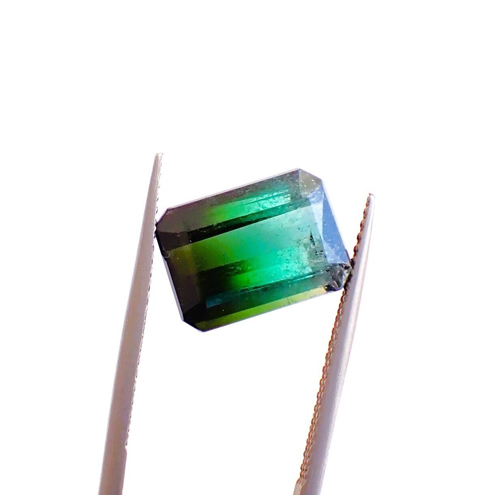 Multicolour Tourmaline  - 5.09 ct - Antwerp Laboratory for Gemstone Testing (ALGT) - Bi-color rare #1.0
