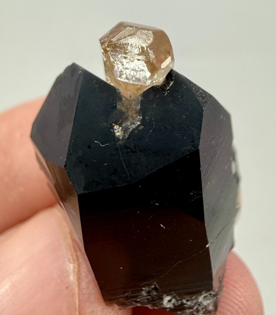 Topas Kristall auf Muttergestein - Höhe: 23 mm - Breite: 16 mm- 9.65 g - (1) #1.0