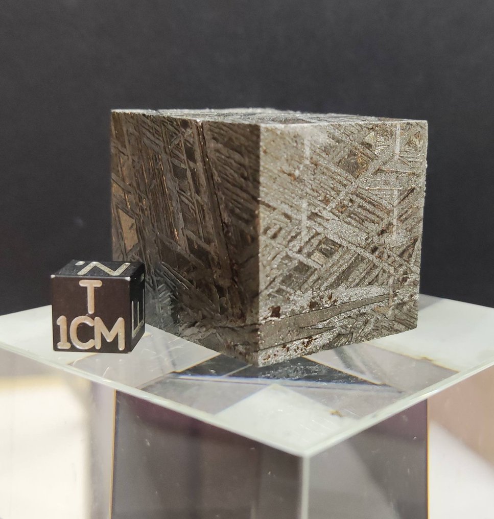 Meteoriet ALETAI 238gr - IJzer IIIE anomalous - 238 g #2.1