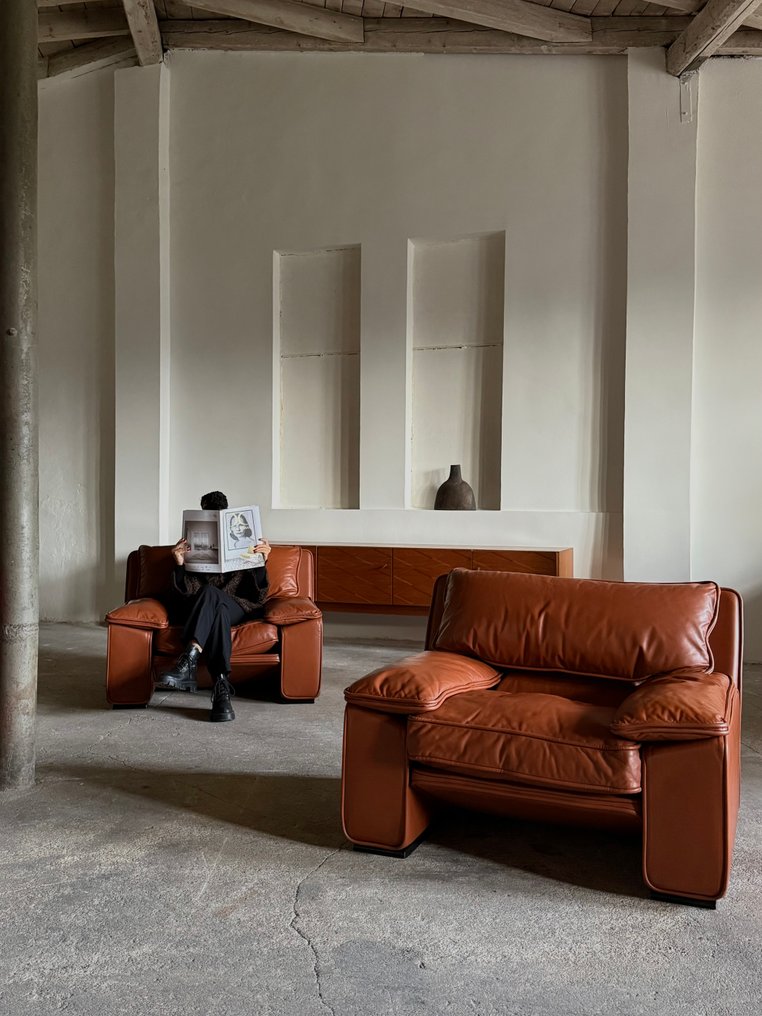 Brunati - T. Ammannati & G.P. Vitelli - 扶手椅子 (2) - Thera - 皮革 #3.2