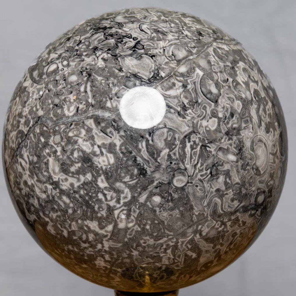 Shell stone Fint kvalitets skalsten kugle. - Højde: 13.4 cm - Bredde: 13.4 cm- 3395 g #1.0