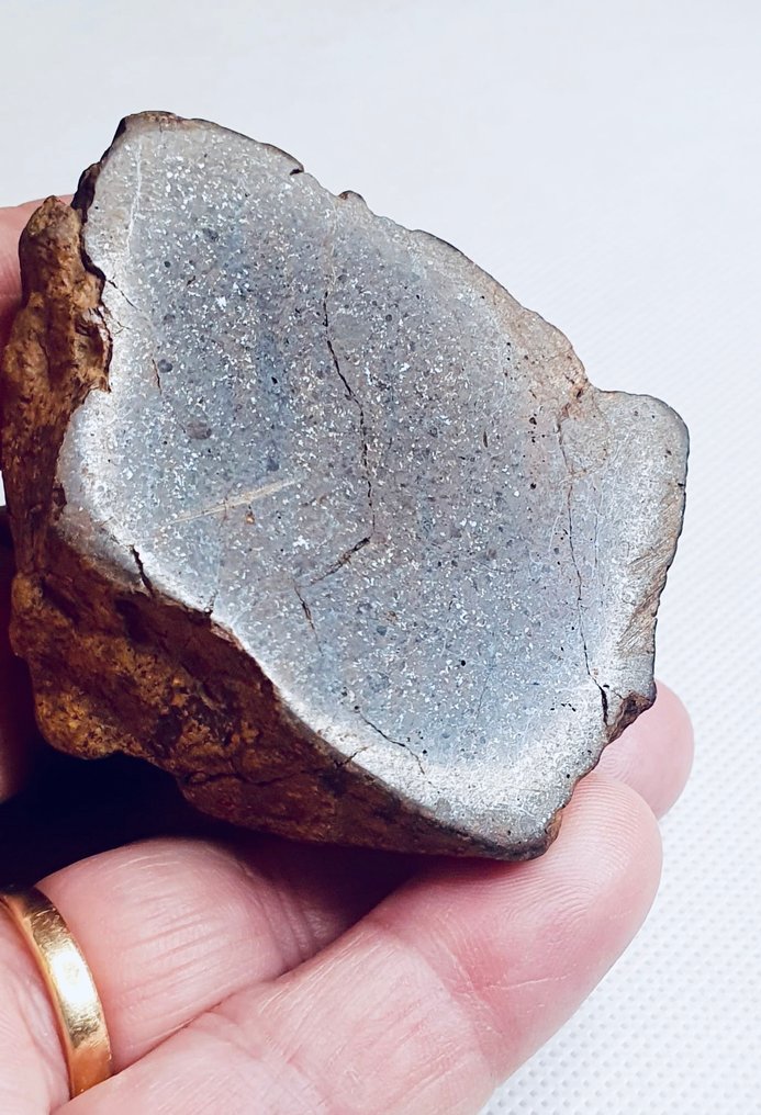 Uklassificeret NWA meteorit Kondrit - Højde: 70 mm - Bredde: 60 mm - 258 g - (1) #1.0