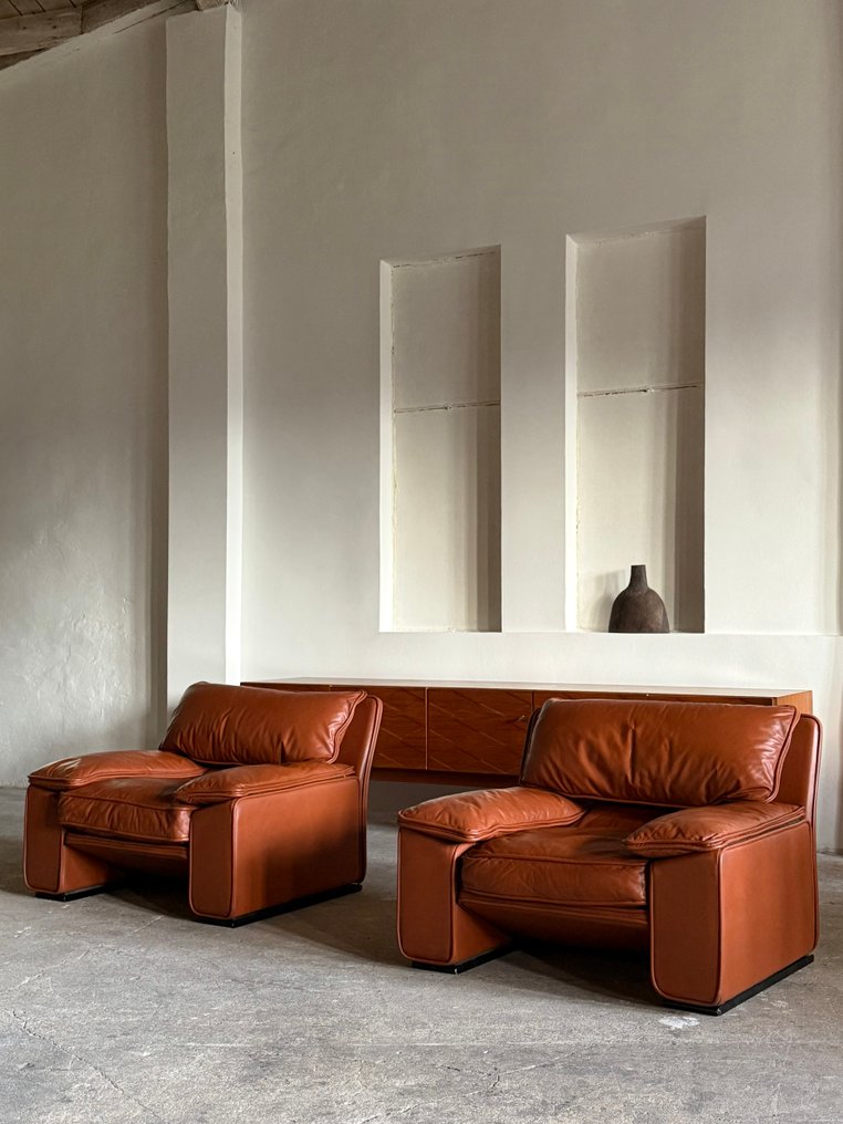 Brunati - T. Ammannati & G.P. Vitelli - 扶手椅子 (2) - Thera - 皮革 #4.3