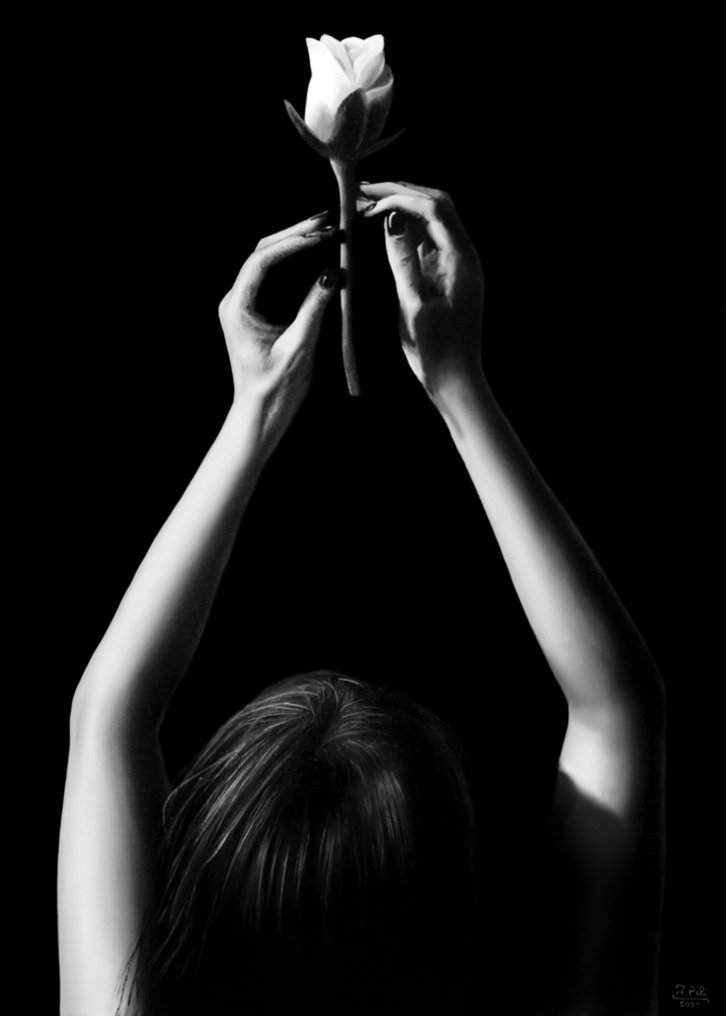 Ivan Pili - Elevate #1.0