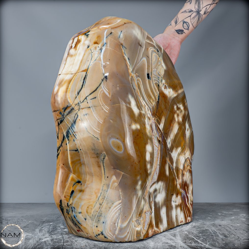 Μεγαλοπρεπής Δενδριτικός Αχάτης με Ζώνες από τη Βραζιλία – Ένα φυσικό θαύμα 47,4 κιλών καθαρής ιστορίας της Γης- 47464 g #4.3