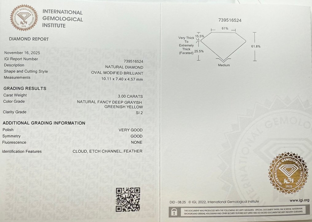 没有保留价 - 1 pcs 钻石  (天然色彩的)  - 3.00 ct - 椭圆形 - Fancy deep 稍帶綠色的, 稍帶灰色的 黄色 - SI2 微内含二级 - 国际宝石研究院（IGI） #2.1