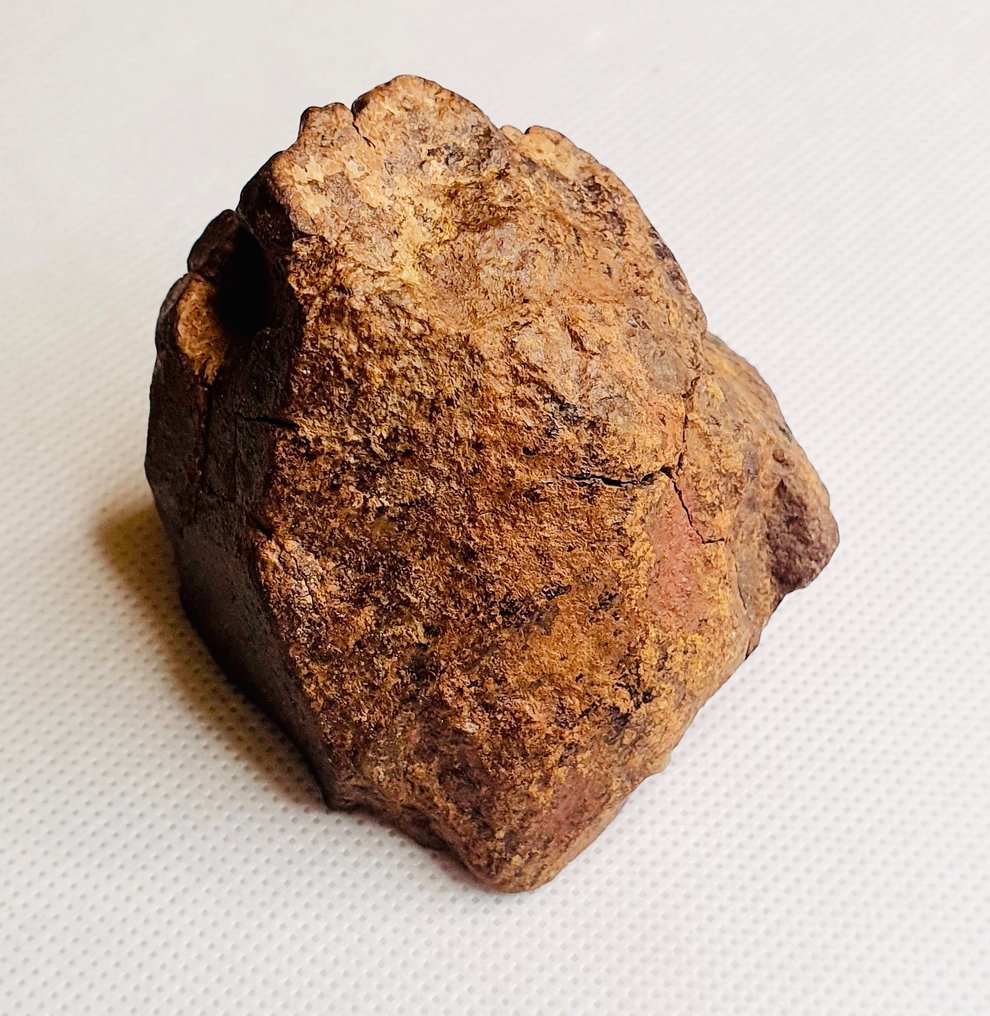 Uklassificeret NWA meteorit Kondrit - Højde: 70 mm - Bredde: 60 mm - 258 g - (1) #3.2