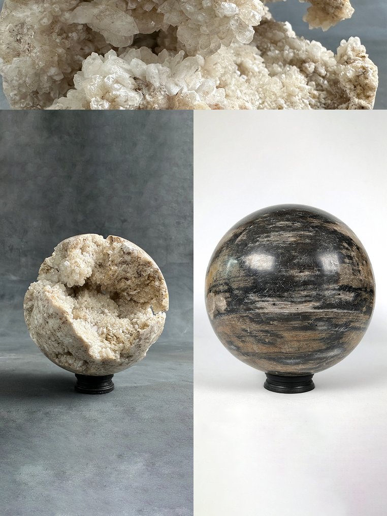 Zierornament (2) - NO RESERVE PRICE - Beautiful pair of Druzy White Crystal sphere and Petrified Wood sphere on stands - Indonesien #1.0
