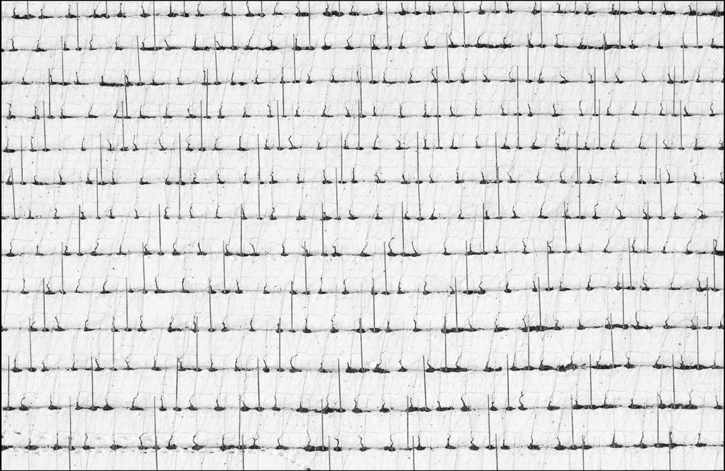 Franco Turcati - Langhe, Piemonte (323) #2.1