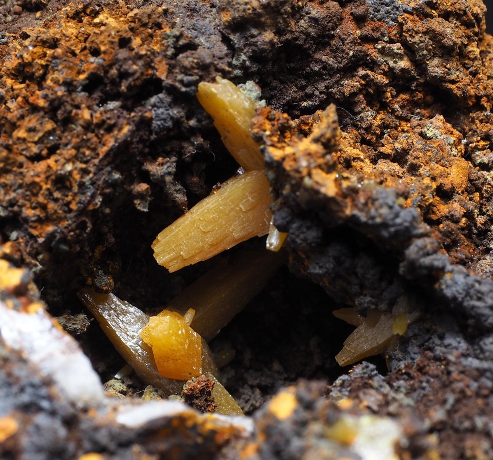 Wulfenite Crystals on matrix - Height: 9 cm - Width: 8 cm- 180 g #1.0
