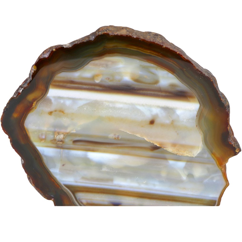 Sjælden! - Zebra Agate - Geode - 13x15x3 cm- 1 kg #1.0