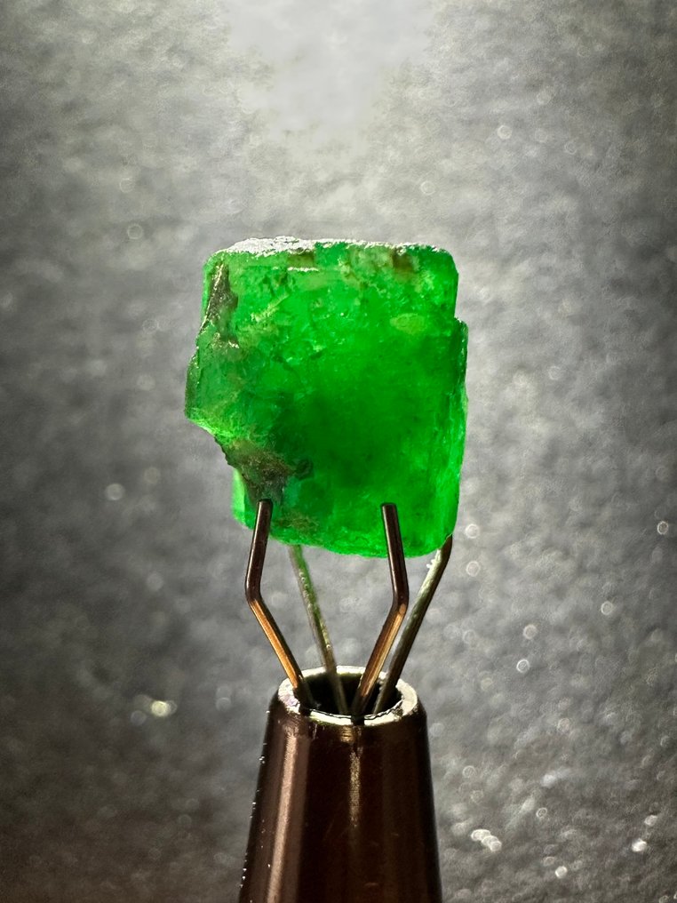 Emerald 未切割。6.60克拉顶级绿色令人惊叹的祖母绿水晶。百分百切割等级！ - 高度: 10 mm - 闊度: 9 mm- 1.32 g #3.2