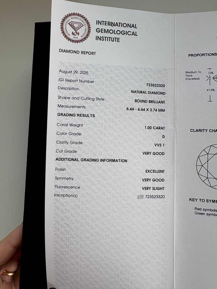 1 pcs Gyémánt  (Természetes)  - 1.00 ct - Kerek - D (színtelen) - VVS1 - Nemzetközi Gemmológiai Intézet (IGI) #3.2