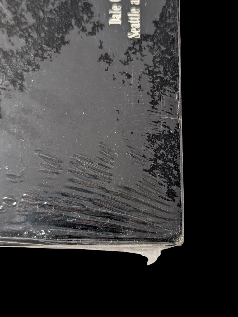 Nirvana - Bleach - Fully Mint and Sealed in-tact outer, a rarity and potential colour unknown - Δίσκος βινυλίου - 1st Pressing - 1989 #3.2