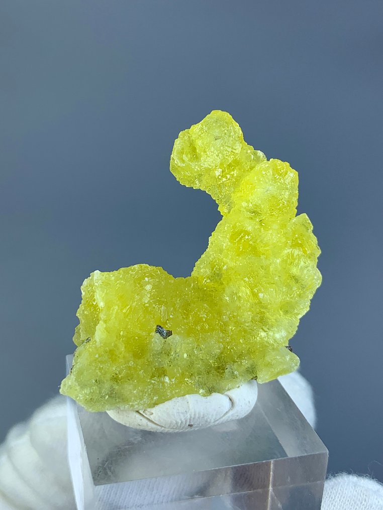 No Reserve Price Brucite Crystals - Height: 60 mm - Width: 23 mm- 169 g - (12) #2.1