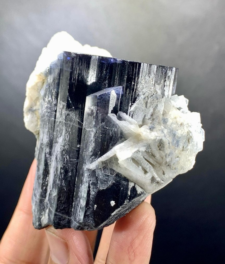 Natural Blue Cap Tourmaline Crystal Mineral Collection - Height: 65 mm - Width: 62 mm- 224 g - (1) #4.3