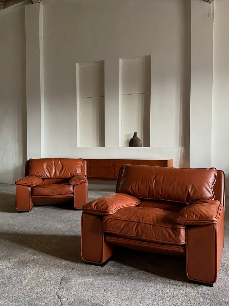 Brunati - T. Ammannati & G.P. Vitelli - 扶手椅子 (2) - Thera - 皮革 #2.1