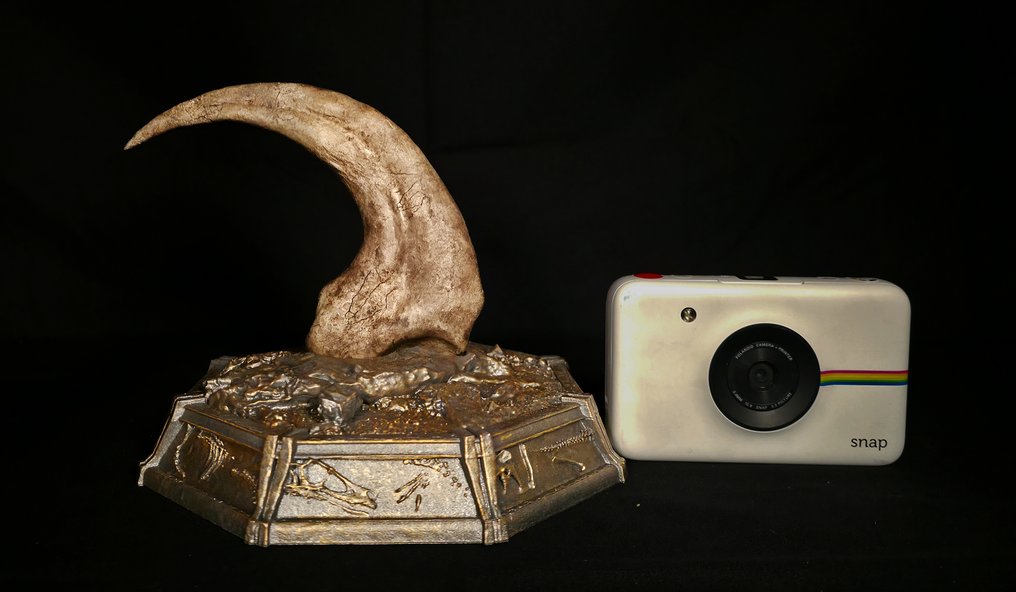 Theropod - REPLICA - Fossilised claw - Dromaeosauridae - 18 cm - 20 cm  (No Reserve Price) #3.2