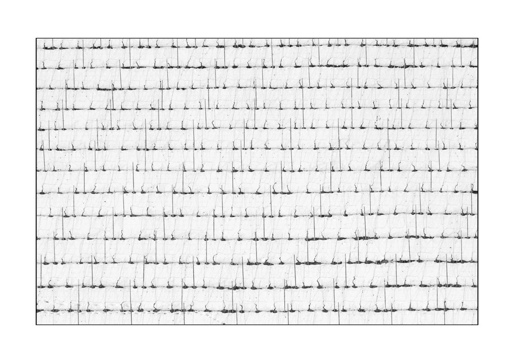 Franco Turcati - Langhe, Piemonte (323) #1.0