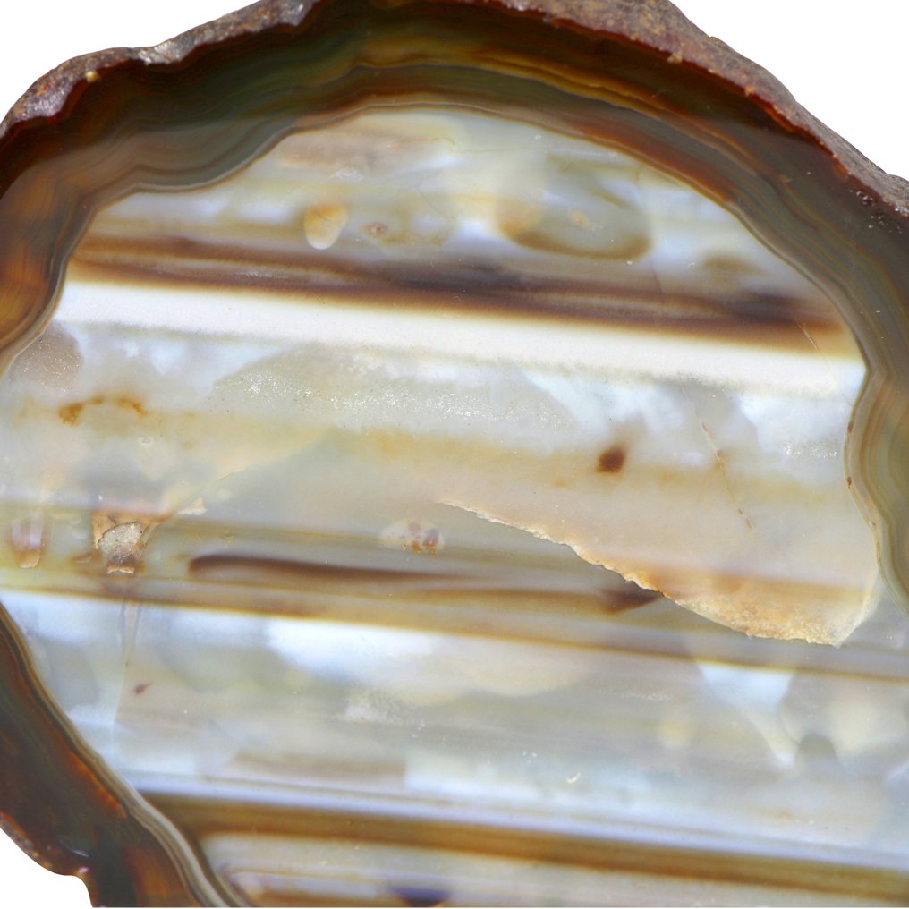 Sjælden! - Zebra Agate - Geode - 13x15x3 cm- 1 kg #3.2