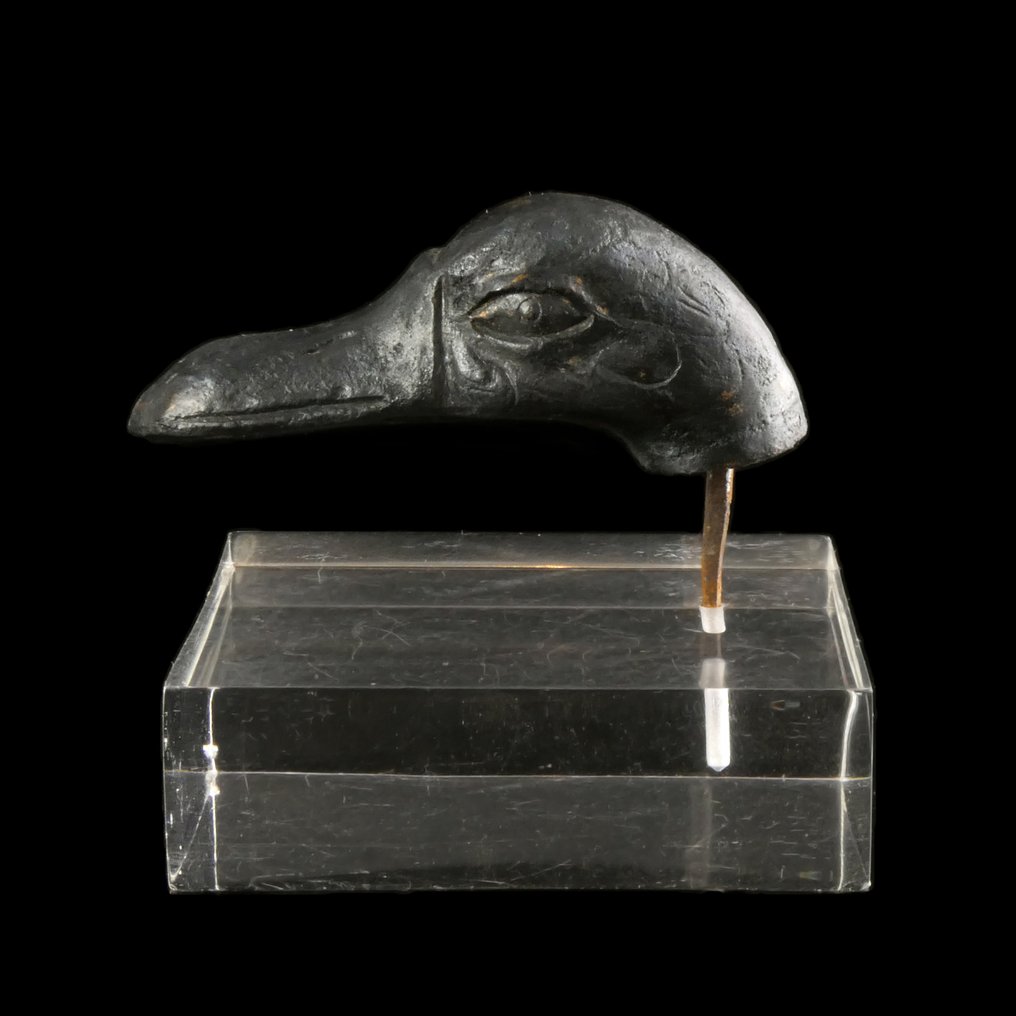roman antic, imperiu Bronz Duck head #2.1