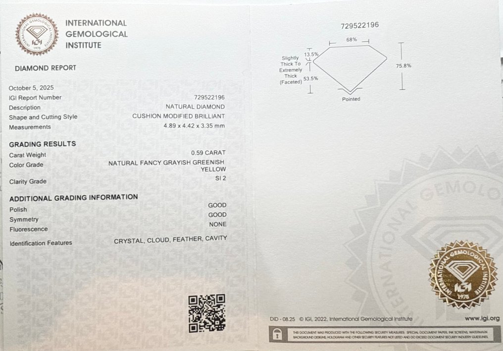 没有保留价 - 1 pcs 钻石 (天然色彩的) - 0.59 ct - 枕形 - Fancy 稍帶灰色的, 稍帶綠色的 黄色 - SI2 微内含二级 - 国际宝石研究院(IGI) #2.1