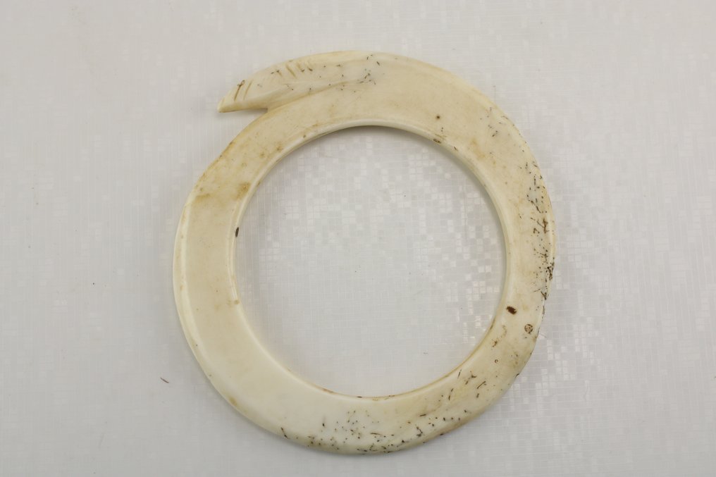 Anello con conchiglia di vongola gigante - Weingga - Yangoru Boiken - Papua Nuova Guinea  (Senza Prezzo di Riserva) #1.0