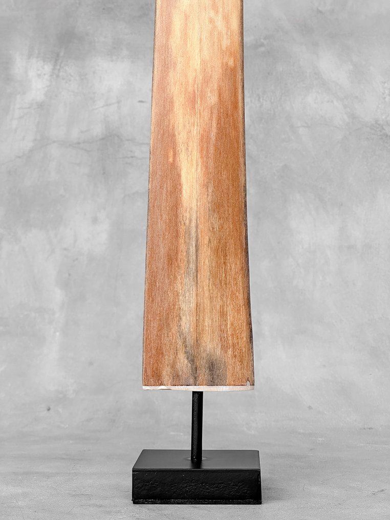 NO RESERVE PRICE - A Swordfish tusk mounted on a custom stand - Rostrum on stand - Xiphias Gladius - 73 cm - 7 cm - 7 cm- Non-CITES species - (1) #4.3