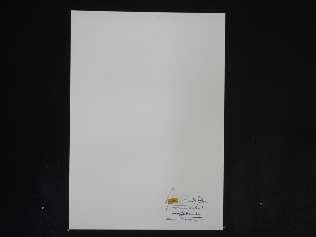 Brigitte Bardot 1957 - Fine Art Photographie - XL 42x30 cm - Limited Edition 1/20 - Gallery Stamp & Curator signature - Collector - No Reserve #1.0