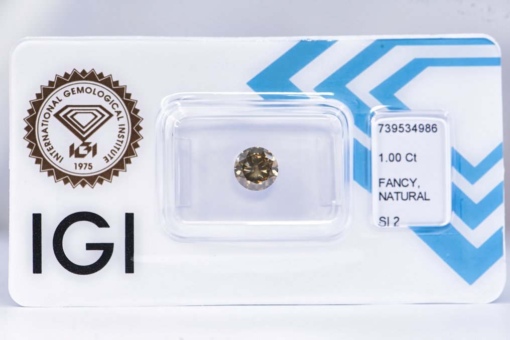 没有保留价 - 1 pcs 钻石 (天然色彩的) - 1.00 ct - 圆形 - Fancy deep 稍帶綠色的 灰色 - SI2 微内含二级 - 国际宝石研究院(IGI) - VG #1.0
