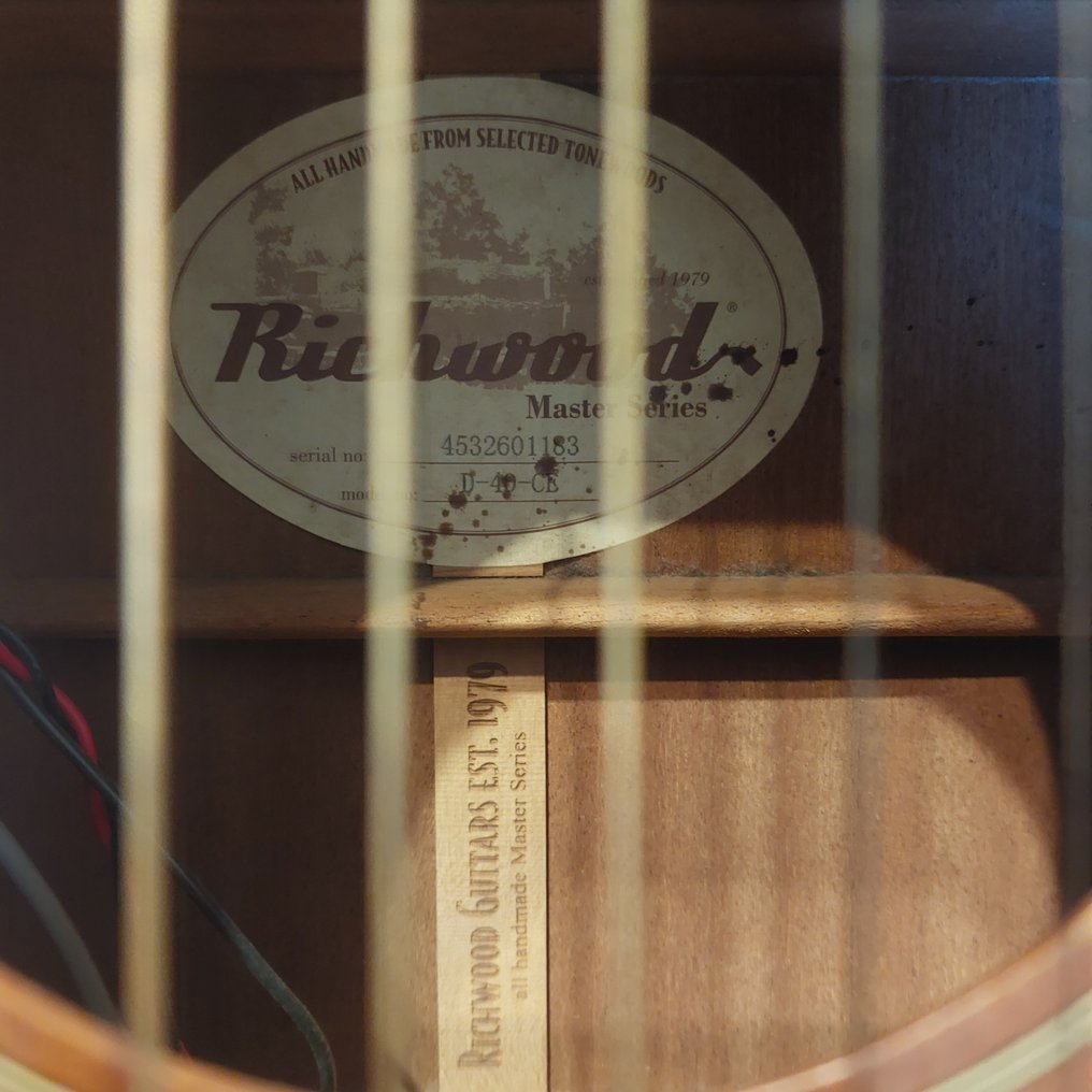 Richwood - D-40-CE - - Elektroakustisk gitarr #2.1