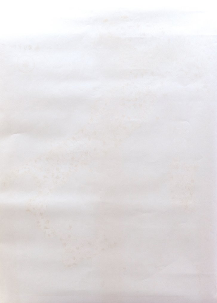 Europe - Italy; B. Ghigi - Italia prodotti agricoli - 1961-1980 #4.3