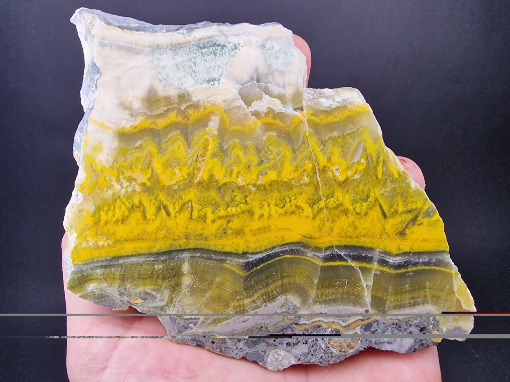 Bumblebee jasper Slice - Height: 145 mm - Width: 90 mm- 245 g - (1) #4.3