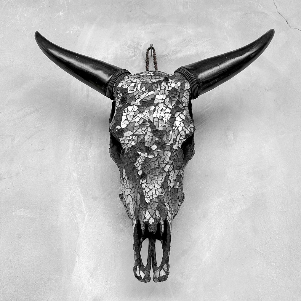 Teschio di mucca mozzafiato con intarsio in mosaico di vetro - Nero e Bianco - senza prezzo di Teschio - Bos Taurus - 54 cm - 52 cm - 17 cm- Specie non CITES - (1) #2.1