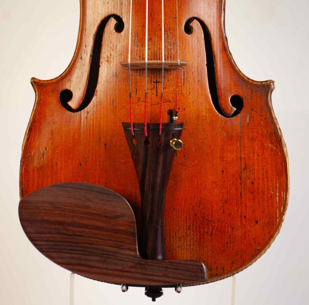 Labelled Januarius Vinaccia - 4/4 - - Violin - Unknown #4.3