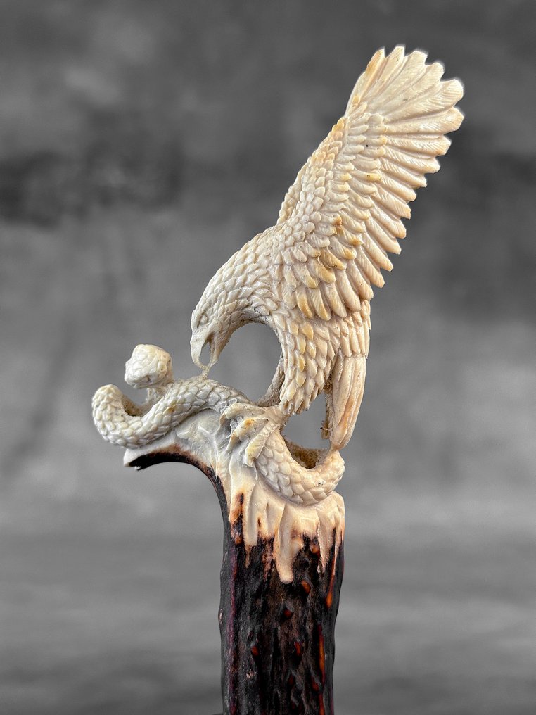 雕刻, NO RESERVE PRICE - Stunning eagle & snake carving from deer antler on a custom stand - 19 cm - 鹿茸 - 2025 #3.2