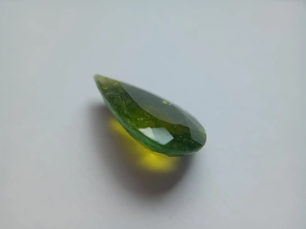 1 pcs  黃色, 綠色 電氣石  - 9.05 ct - Instituto Gemólogico Español (IGE) #4.3