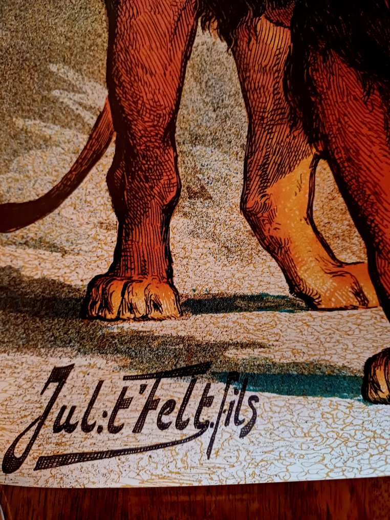 Van Dyck - Affiche Zoo d’Anvers – Van Dyck 300ᵉ Anniversaire (1899) – Réédition Officielle 2012 – 56×75 cm – #3.2