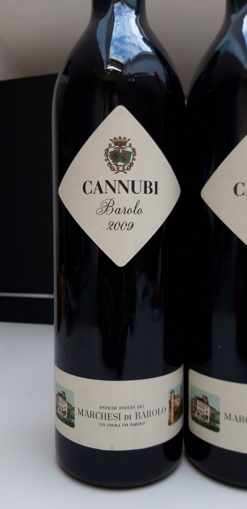 2009 Marchesi di Barolo, Cannubi - Barolo DOCG - 2 Bottles (0.75L) #1.0