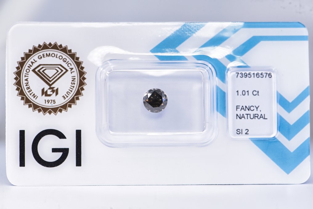 没有保留价 - 1 pcs 钻石 (天然色彩的) - 1.01 ct - 圆形 - Fancy deep 稍帶綠色的 灰色 - SI2 微内含二级 - 国际宝石研究院(IGI) - VG #1.0