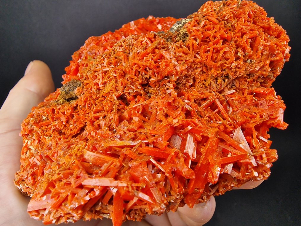 Crocoite Top quality color - Height: 100 mm - Width: 85 mm- 821 g - (1) #4.3