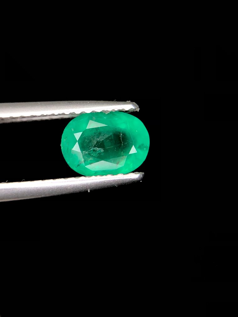 没有保留价 - 1 pcs  绿色 混合宝石  - 0.81 ct - 国际有色宝石协会（ICA GemLab） - 天然的 Hauyne #1.0