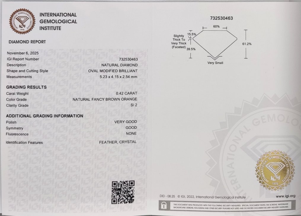 没有保留价 - 1 pcs 钻石 (天然色彩的) - 0.42 ct - 椭圆形 - Fancy 棕色 橙色 - SI2 微内含二级 - 国际宝石研究院(IGI) #4.3