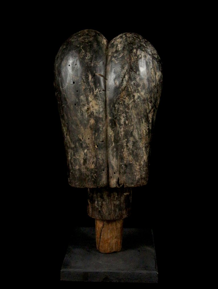 FANG head - Cameroon #4.3