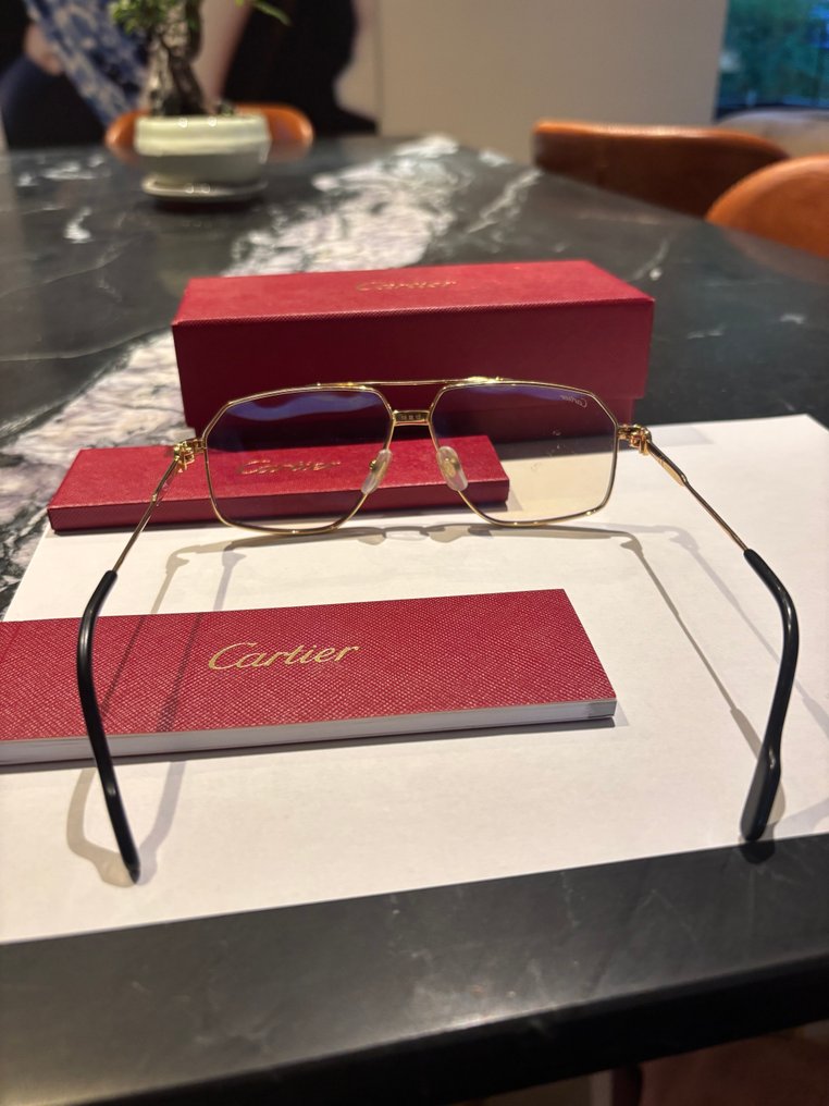 Cartier - CT0270S - Spectacles #1.0