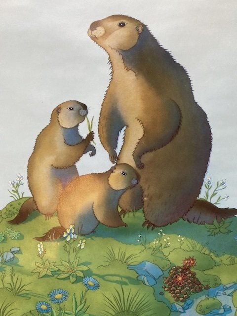 SAMIVEL - Paul Leclerc - La Vanoise - década de 1970 #4.3