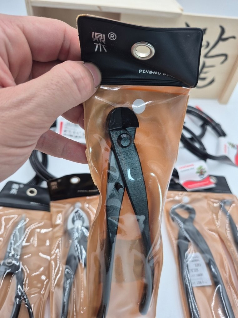 Kit di Apprendimento Bonsai per Intermedi in Kiribako – Idea Regalo di Natale - Altezza (albero): 0 cm - Profondità (albero): 0 cm - Giappone #4.3