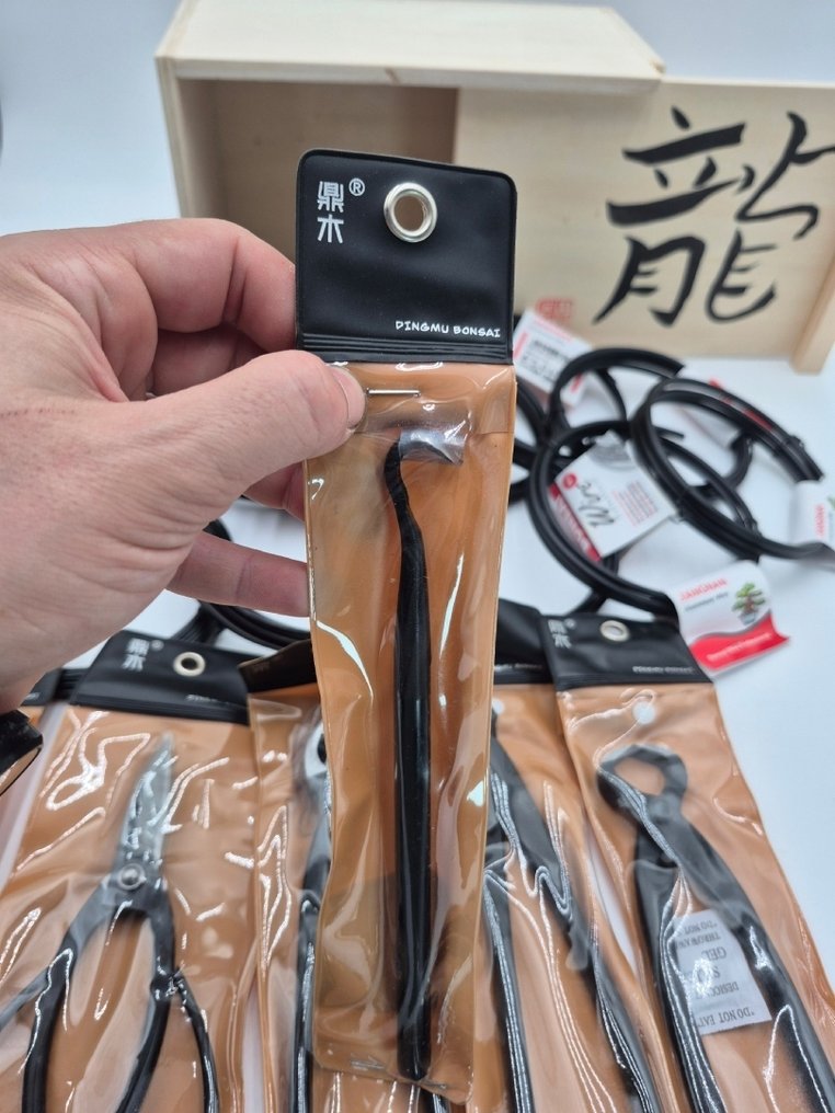 Kit di Apprendimento Bonsai per Intermedi in Kiribako – Idea Regalo di Natale - Altezza (albero): 0 cm - Profondità (albero): 0 cm - Giappone #2.1