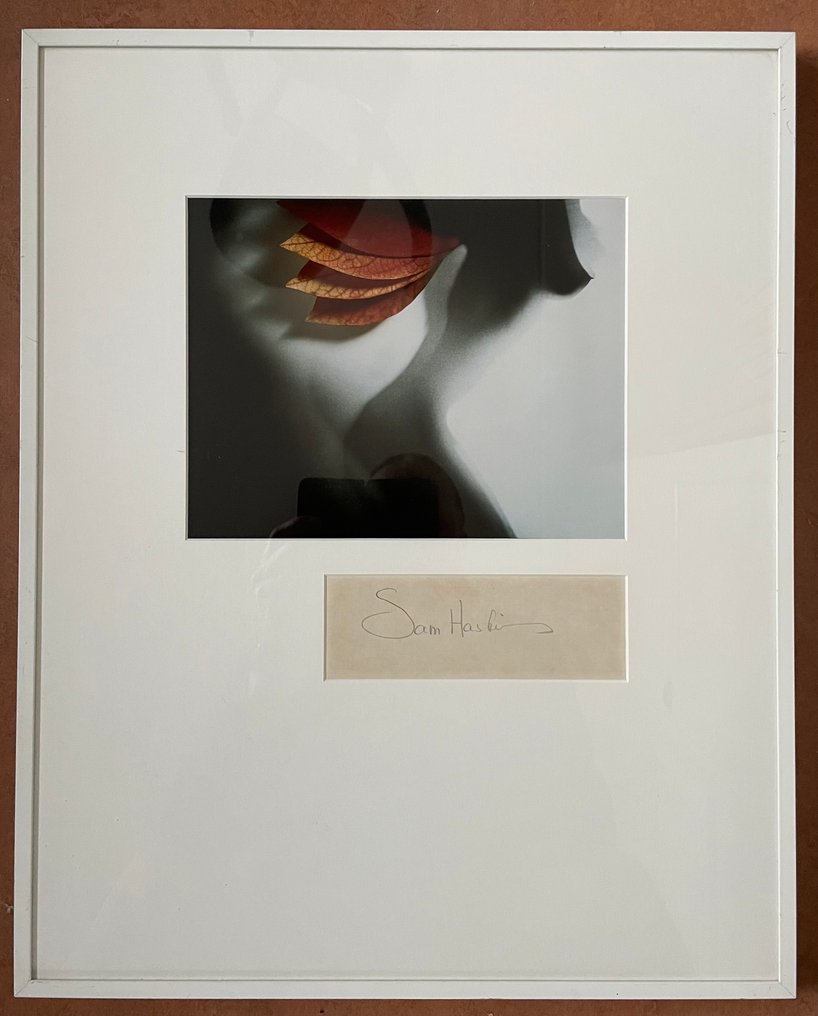 Sam Haskins - Geen titel bekend #1.0